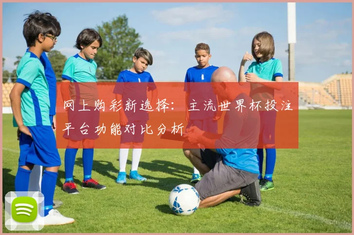 网上购彩新选择：主流世界杯投注平台功能对比分析