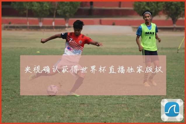 央视确认获得世界杯直播独家版权