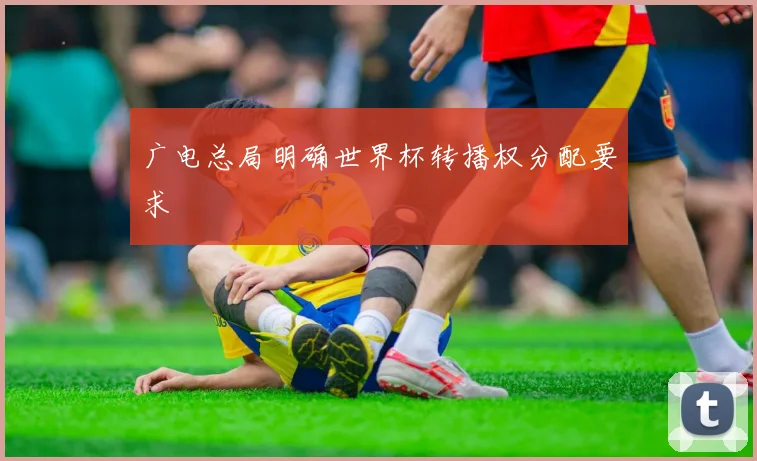 广电总局明确世界杯转播权分配要求