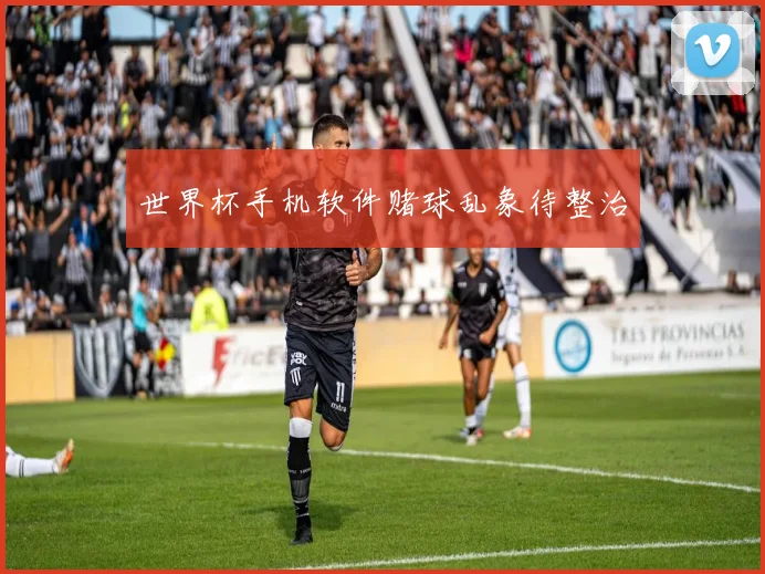 世界杯手机软件赌球乱象待整治