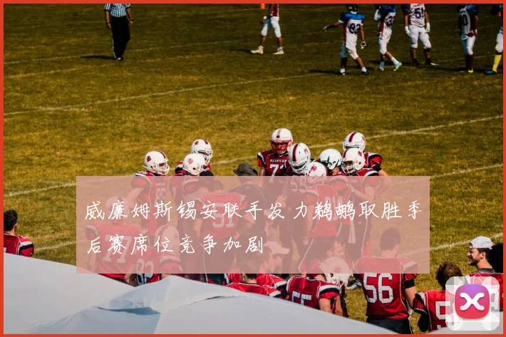 威廉姆斯锡安联手发力鹈鹕取胜季后赛席位竞争加剧