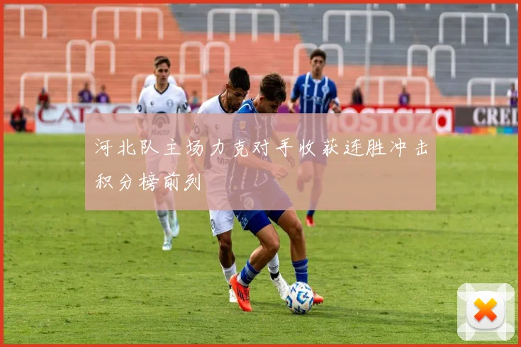河北队主场力克对手收获连胜冲击积分榜前列