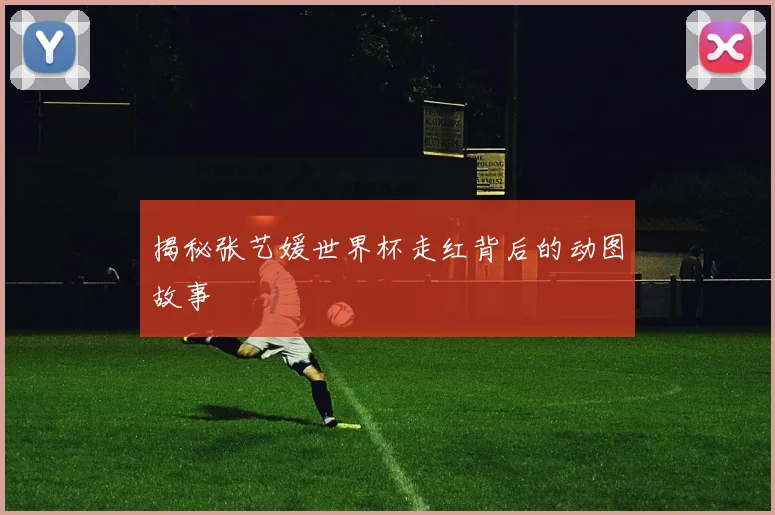揭秘张艺媛世界杯走红背后的动图故事