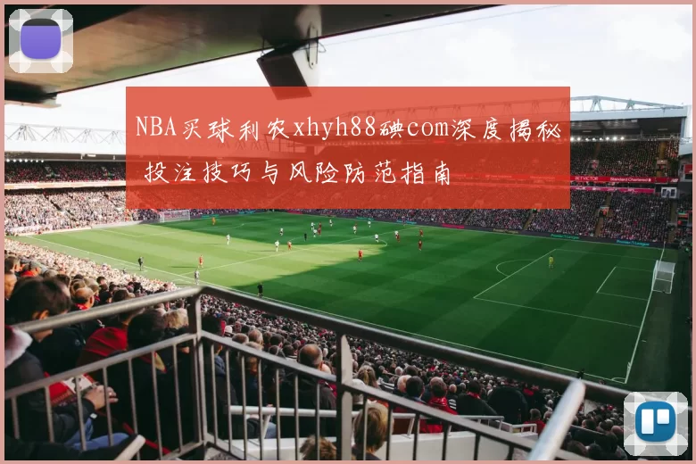 NBA买球利农xhyh88碘com深度揭秘 投注技巧与风险防范指南