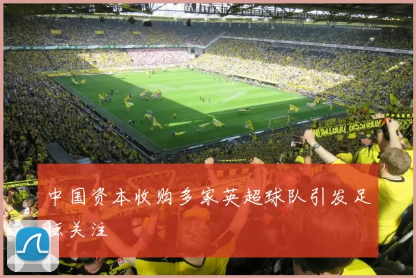 中国资本收购多家英超球队引发足坛关注