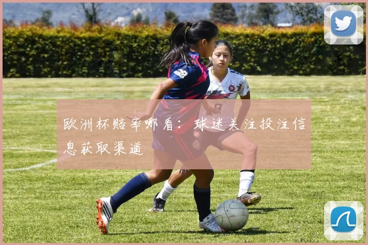 欧洲杯赔率哪看：球迷关注投注信息获取渠道