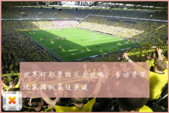世界杯彩票购买全攻略：专访资深玩家揭秘最佳渠道