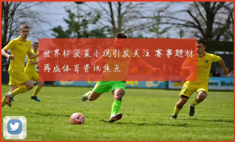 世界杯菠菜小说引发关注 赛事题材再成体育资讯焦点