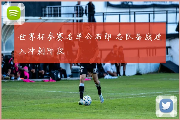 世界杯参赛名单公布即 各队备战进入冲刺阶段