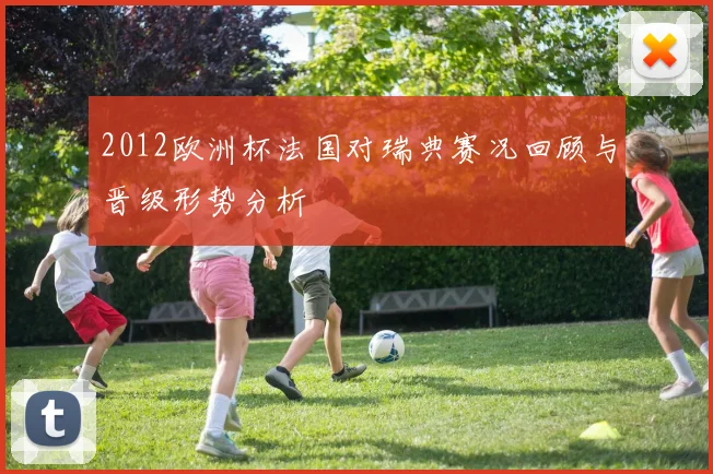 2012欧洲杯法国对瑞典赛况回顾与晋级形势分析