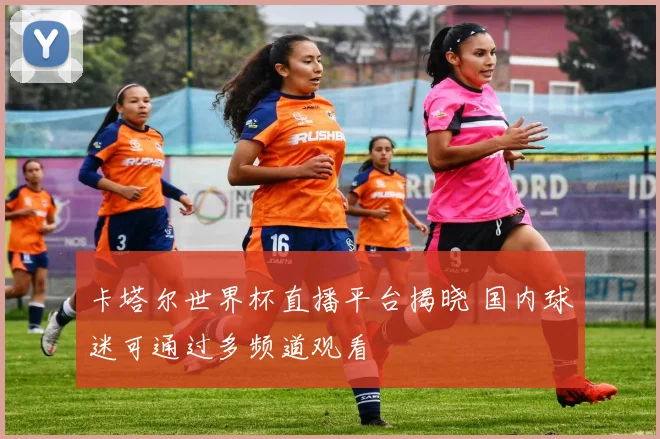 卡塔尔世界杯直播平台揭晓 国内球迷可通过多频道观看