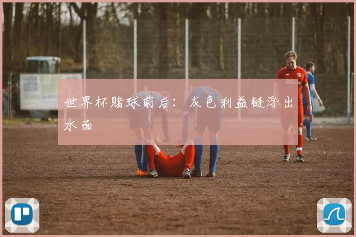 世界杯赌球前后：灰色利益链浮出水面