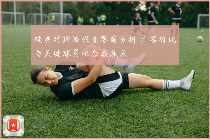 瑞典对斯洛伐克赛前分析 主客对比与关键球员状态成焦点