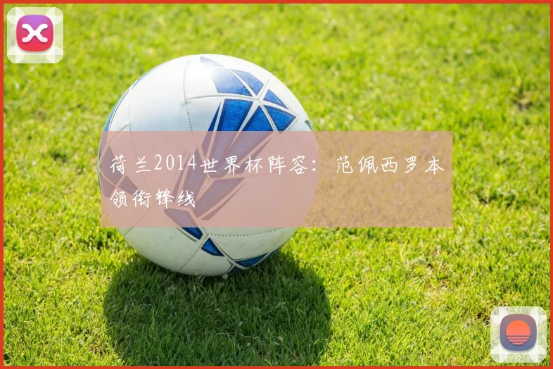 荷兰2014世界杯阵容:范佩西罗本领衔锋线