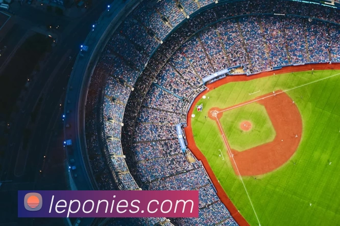 mk体育app官网登录入口APP 封面图